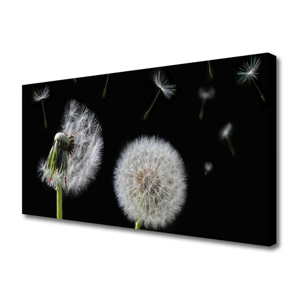 Canvas Kunstdruck Pusteblume Pflanzen