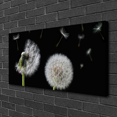 Canvas Kunstdruck Pusteblume Pflanzen