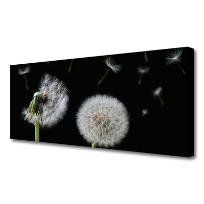 Canvas Kunstdruck Pusteblume Pflanzen