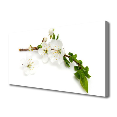 Canvas Kunstdruck Blumen Zweig Natur