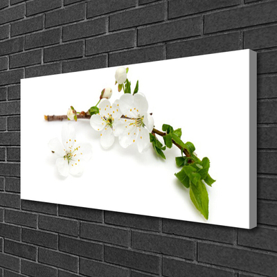 Canvas Kunstdruck Blumen Zweig Natur