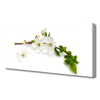 Canvas Kunstdruck Blumen Zweig Natur