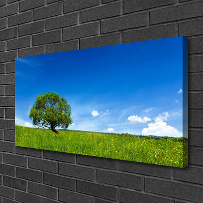 Canvas Kunstdruck Gras Baum Natur