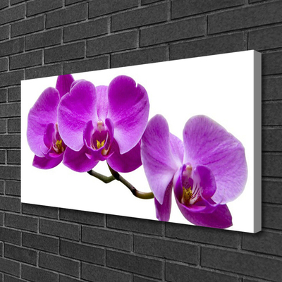 Canvas Kunstdruck Blumen Pflanzen