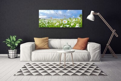 Canvas Kunstdruck Wiese Gänseblümchen Natur