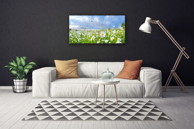 Canvas Kunstdruck Wiese Gänseblümchen Natur