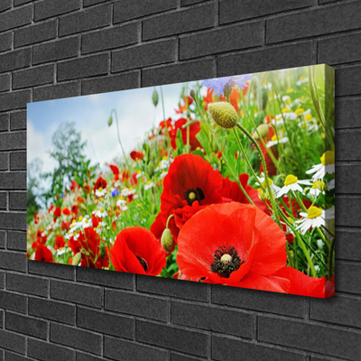 Canvas Kunstdruck Blumen Natur