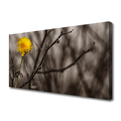 Canvas Kunstdruck Zweig Blume Pflanzen