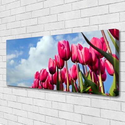 Canvas Kunstdruck Tulpe Pflanzen