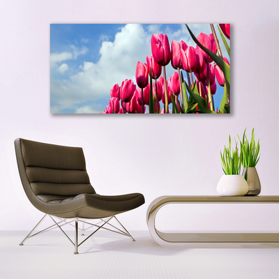 Canvas Kunstdruck Tulpe Pflanzen