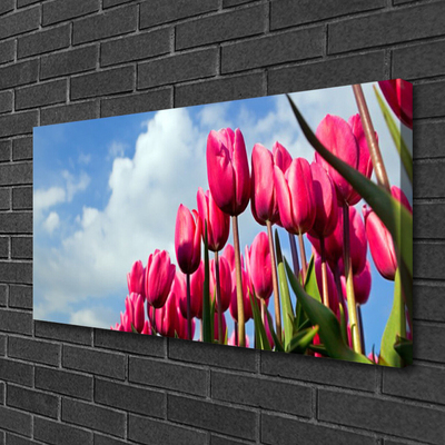 Canvas Kunstdruck Tulpe Pflanzen