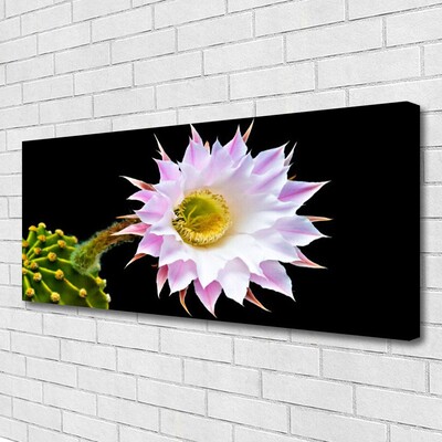 Canvas Kunstdruck Blume Pflanzen