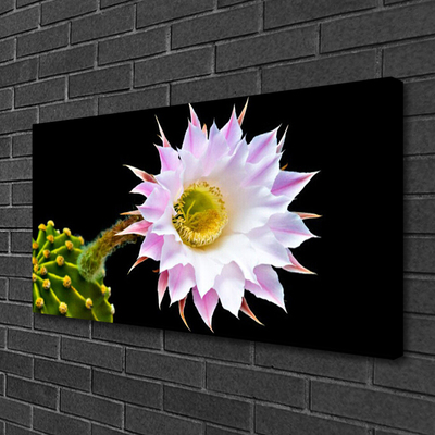 Canvas Kunstdruck Blume Pflanzen