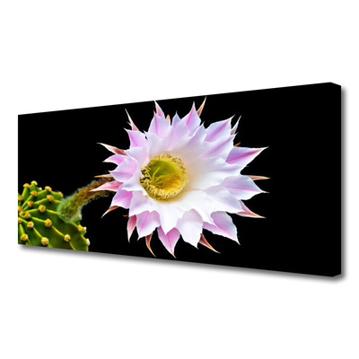 Canvas Kunstdruck Blume Pflanzen