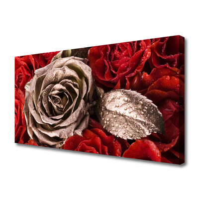 Canvas Kunstdruck Roses Pflanzen