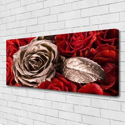 Canvas Kunstdruck Roses Pflanzen