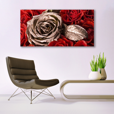 Canvas Kunstdruck Roses Pflanzen