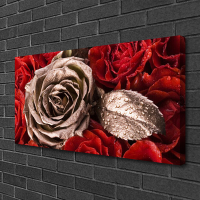 Canvas Kunstdruck Roses Pflanzen