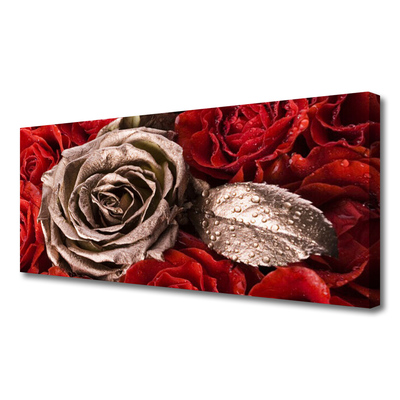 Canvas Kunstdruck Roses Pflanzen