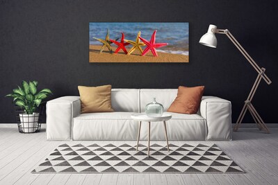 Canvas Kunstdruck Strand Seestern Kunst