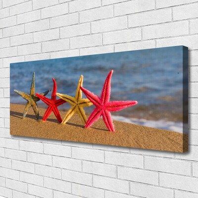 Canvas Kunstdruck Strand Seestern Kunst