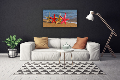 Canvas Kunstdruck Strand Seestern Kunst