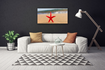 Canvas Kunstdruck Strand Seestern Kunst