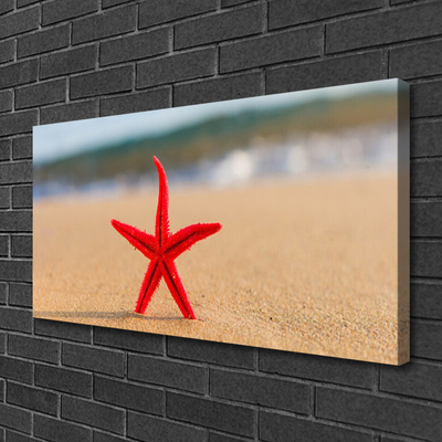 Canvas Kunstdruck Strand Seestern Kunst