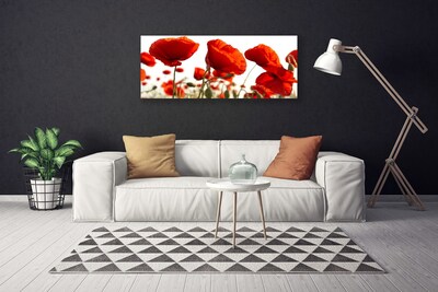 Canvas Kunstdruck Tulpen Pflanzen