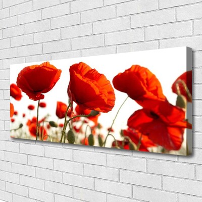 Canvas Kunstdruck Tulpen Pflanzen