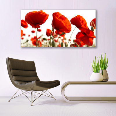 Canvas Kunstdruck Tulpen Pflanzen