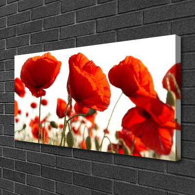 Canvas Kunstdruck Tulpen Pflanzen