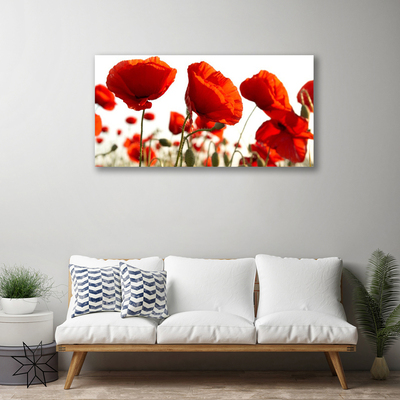 Canvas Kunstdruck Tulpen Pflanzen