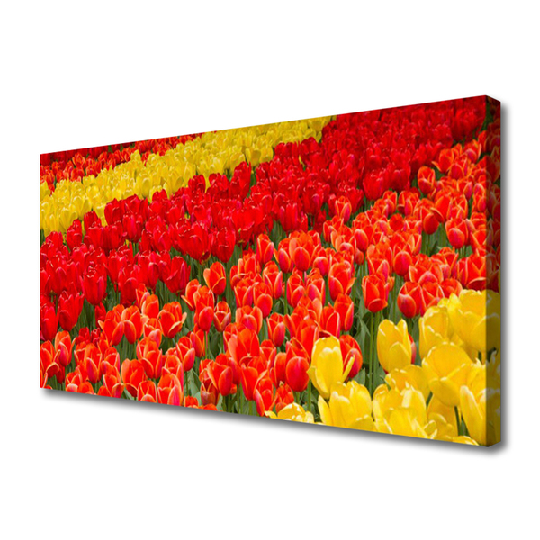 Canvas Kunstdruck Tulpen Pflanzen