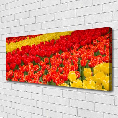 Canvas Kunstdruck Tulpen Pflanzen