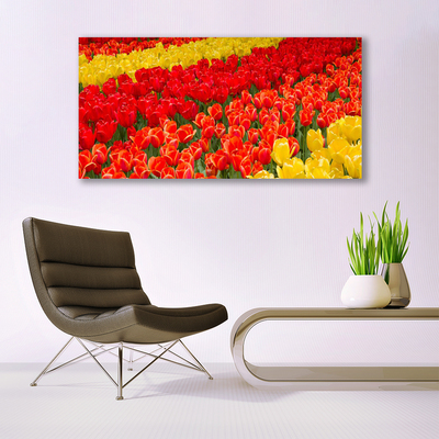 Canvas Kunstdruck Tulpen Pflanzen