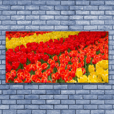 Canvas Kunstdruck Tulpen Pflanzen