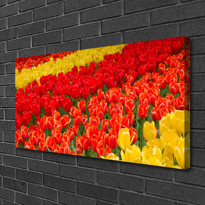 Canvas Kunstdruck Tulpen Pflanzen