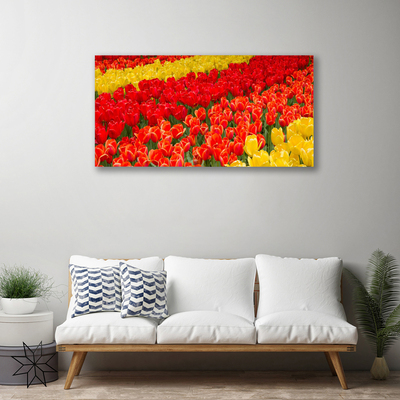 Canvas Kunstdruck Tulpen Pflanzen