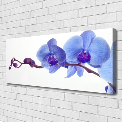 Canvas Kunstdruck Blumen Pflanzen