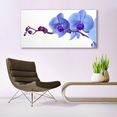 Canvas Kunstdruck Blumen Pflanzen