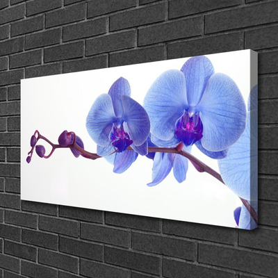 Canvas Kunstdruck Blumen Pflanzen