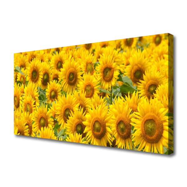 Canvas Kunstdruck Sonnenblumen Pflanzen