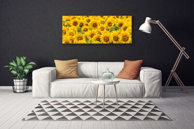 Canvas Kunstdruck Sonnenblumen Pflanzen