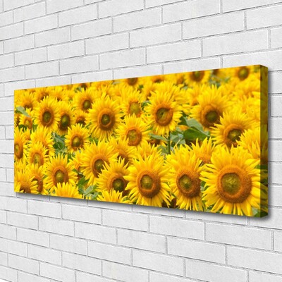 Canvas Kunstdruck Sonnenblumen Pflanzen