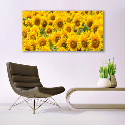 Canvas Kunstdruck Sonnenblumen Pflanzen