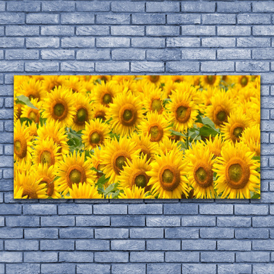 Canvas Kunstdruck Sonnenblumen Pflanzen