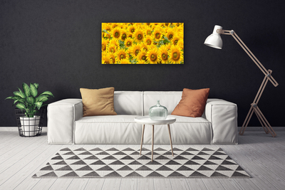 Canvas Kunstdruck Sonnenblumen Pflanzen