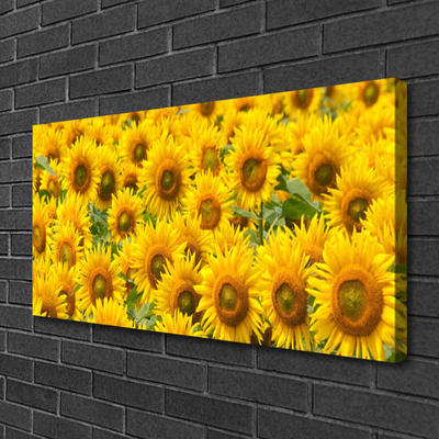 Canvas Kunstdruck Sonnenblumen Pflanzen