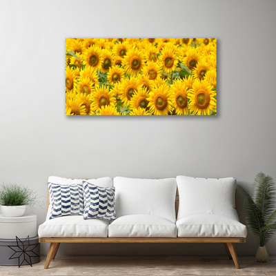 Canvas Kunstdruck Sonnenblumen Pflanzen